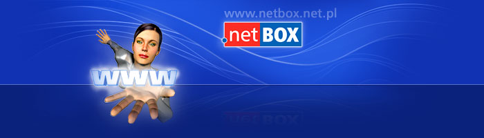 Czym jest CMS - © netBox